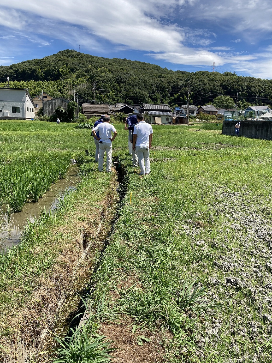 倉敷市福江土地境界立会