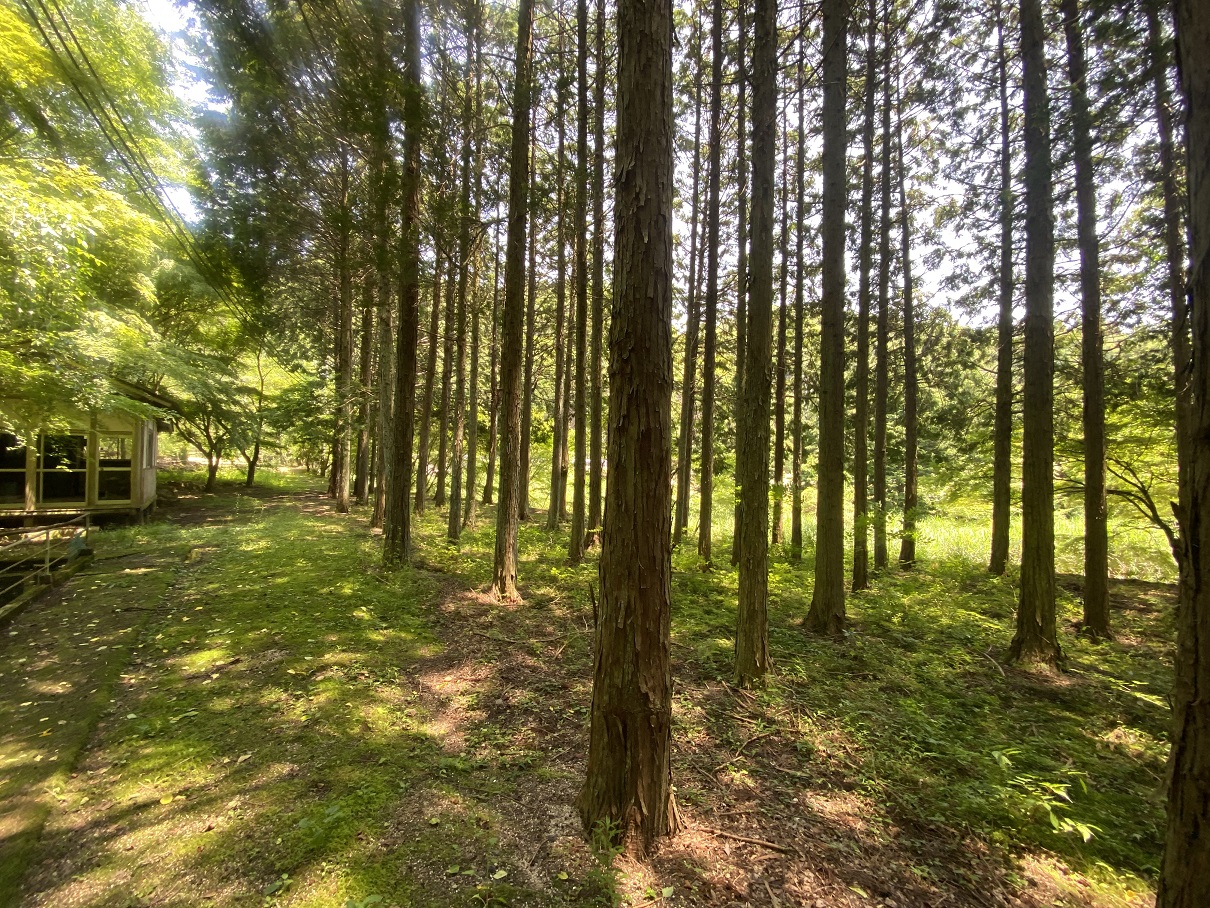 この夏にオススメな遊び心くすぐる物件をご紹介⛺